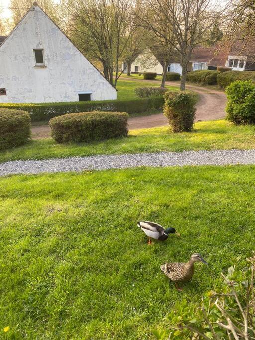 Le Nid Du Cygne Apartment Houlle Exterior foto